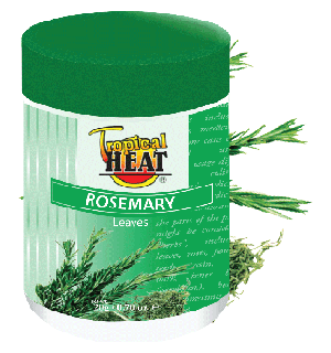 Rosemary Leaves